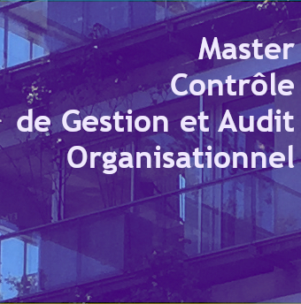 Master Contrôle de Gestion et Audit Organisationnel