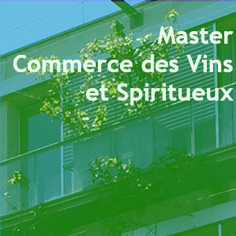 Master Commerce des Vins et Spiritueux