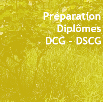 Préparation aux DCG - DSCG