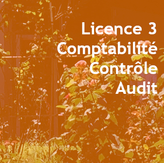 Licence 3 Comptabilité-Contrôle-Audit