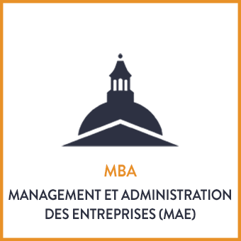 MBA Management et Adminstration des Entreprises (MAE)